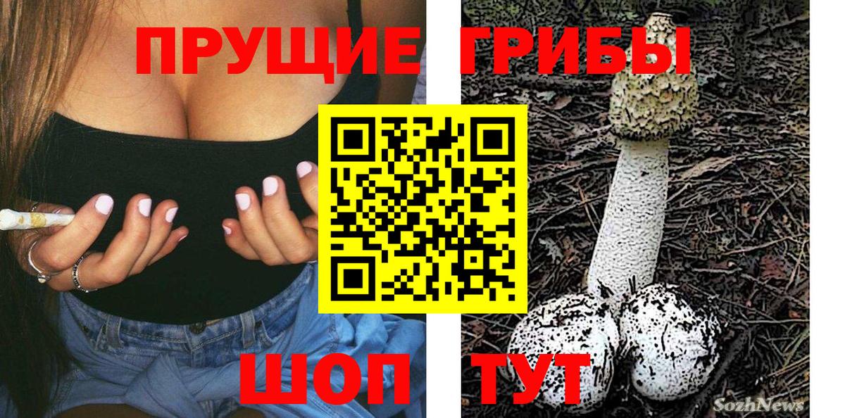 Галлюциногенные грибы Psilocybe  Вход с VPN  Тельмана  купить закладку  Галлюциногенные грибы Cubensis 