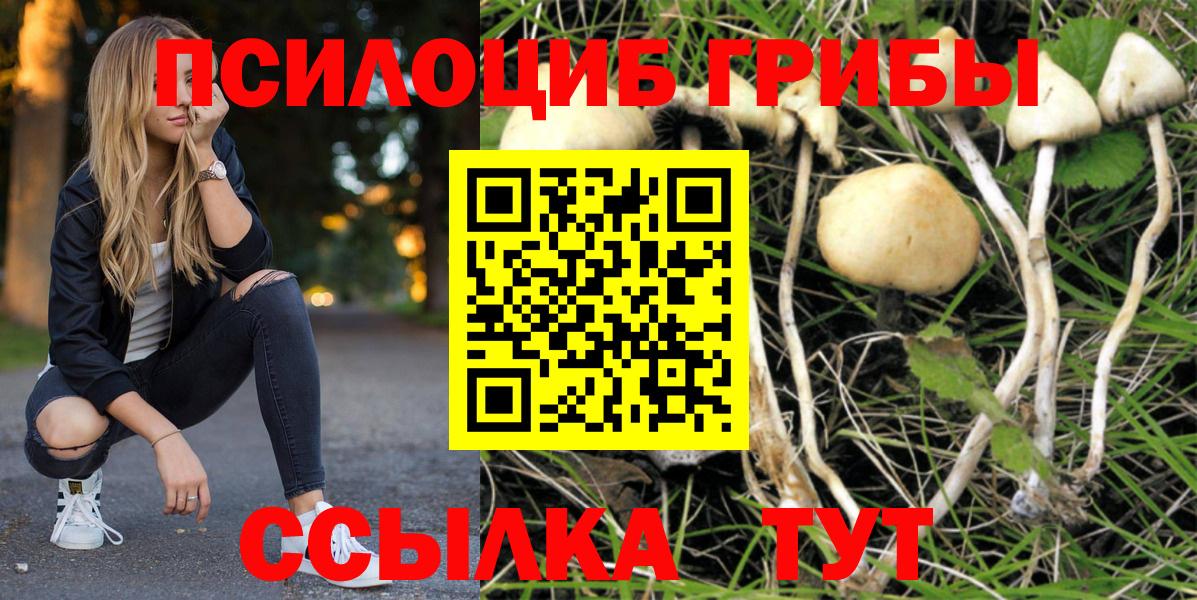 Галлюциногенные грибы Magic Shrooms Тельмана